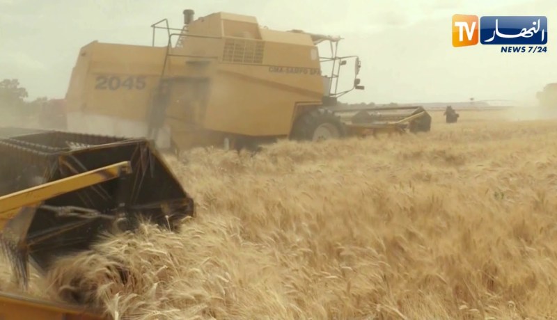 الأغواط: إنطلاق موسم الحصاد والدرس بالمزرعة النموذجية نمير طاهر بتاجموت