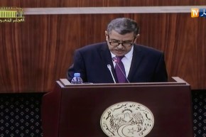 جراد: “تطوير القطاع الفلاحي لن يكون دون ترقية إستثمارات الشباب وتثمين الموارد المحلية”