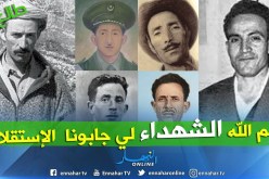 الشيخ النوي: تحيا الجزائر الله يرحم الشهداء.. أبطال كافحوا من أجل الوطن