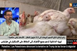 مومن كالي : ” لوكان نتركو الدجاج يتباع بـ260 دج..المستهلك يستفاد والمربّي يخسر !! “