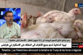 مومن كالي : ” لوكان نتركو الدجاج يتباع بـ260 دج..المستهلك يستفاد والمربّي يخسر !! “