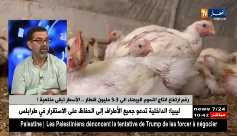 مومن كالي : ” لوكان نتركو الدجاج يتباع بـ260 دج..المستهلك يستفاد والمربّي يخسر !! “