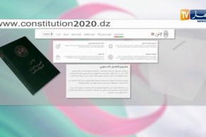 إنشاء موقع إلكتروني للإجابة على أسئلة المواطنين حول مشروع تعديل الدستور