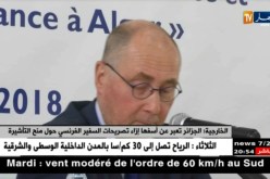 الخارجية: الجزائر تعبر عن أسفها إزاء تصريحات السفير الفرنسي حول منح التأشيرة