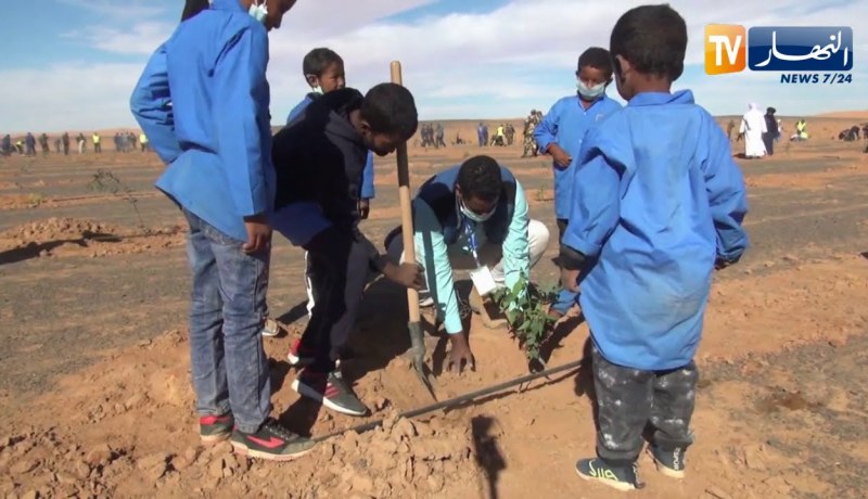 إليزي: مشاركة واسعة للمواطنين في الحملة الوطنية للتشجير