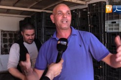 تجارة:منطق تجار الجملة ينسف مخطط الأسعار المرجعية