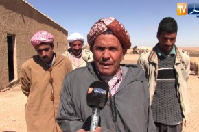 سعيدة: تقلص المساحات الرعوية بسبب الحرث العشوائي يثير سخط مربي المواشي