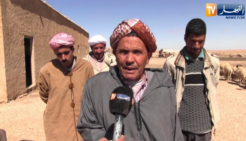 سعيدة: تقلص المساحات الرعوية بسبب الحرث العشوائي يثير سخط مربي المواشي