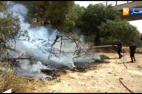 قسنطينة: شاهد الحماية المدنية تطفئ نيران اشتعلت في الأحراش بالخروب