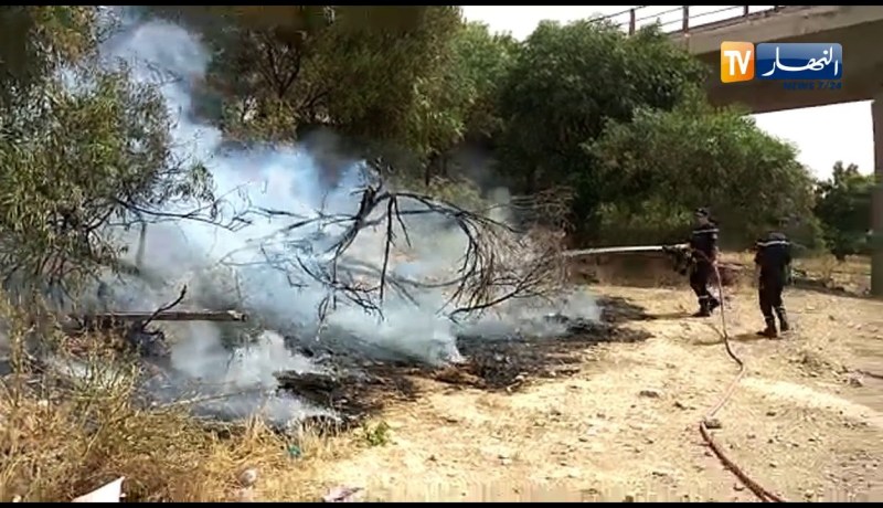 قسنطينة: شاهد الحماية المدنية تطفئ نيران اشتعلت في الأحراش بالخروب