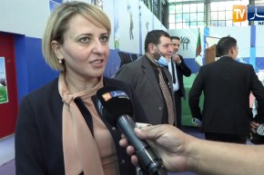 الحملة الإستفتائية في أسبوعها الثاني.. المجتمع المدني في الصف الأول