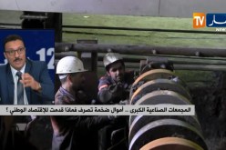 المجمعات الصناعية الكبرى..أموال ضخمة تصرف..فماذا قدمت للإقتصاد الوطني؟