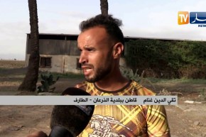 الطارف: مزرعة لتصدير الكروم تتحول إلى أوكار للإنحراف