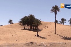 طقس: موجة حر على الولايات الجنوبية ودرجات حرارة تصل إلى 46 درجة