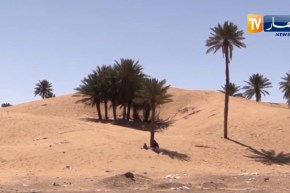 طقس: موجة حر على الولايات الجنوبية ودرجات حرارة تصل إلى 46 درجة