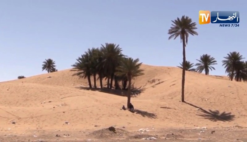 طقس: موجة حر على الولايات الجنوبية ودرجات حرارة تصل إلى 46 درجة