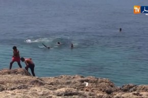 عنابة: إقبال على شاطئ شطايبي رغم قرار غلق الشواطئ تفاديا لانتشار الجائحة