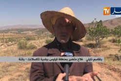باتنة/ فلاحو تاكسلانت يتكبدون خسائر كبيرة بسبب البرد