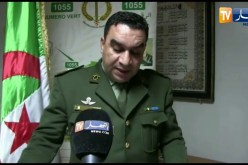 الدرك الوطني: إنخفاض في نسبة سرقة المواشي وإسترجاع 342 رأس ماشية خلال السنة المنصرمة في قالمة