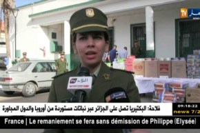 مستغانم: الدرك الوطني يحجز أكثر من 34 ألف شمة مقلدة و 7 آلاف سجائر أجنبية