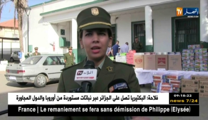 مستغانم: الدرك الوطني يحجز أكثر من 34 ألف شمة مقلدة و 7 آلاف سجائر أجنبية