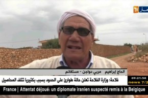 مستغانم: عزوف كبير من قبل مربي الدواجن بسبب إرتفاع أسعار الكتاكيت