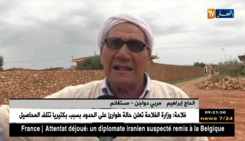 مستغانم: عزوف كبير من قبل مربي الدواجن بسبب إرتفاع أسعار الكتاكيت