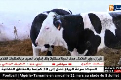 غليزان: وزير الفلاحة.. هدف الدولة مستقبلاً وقف إستيراد العديد من المنتجات الفلاحية
