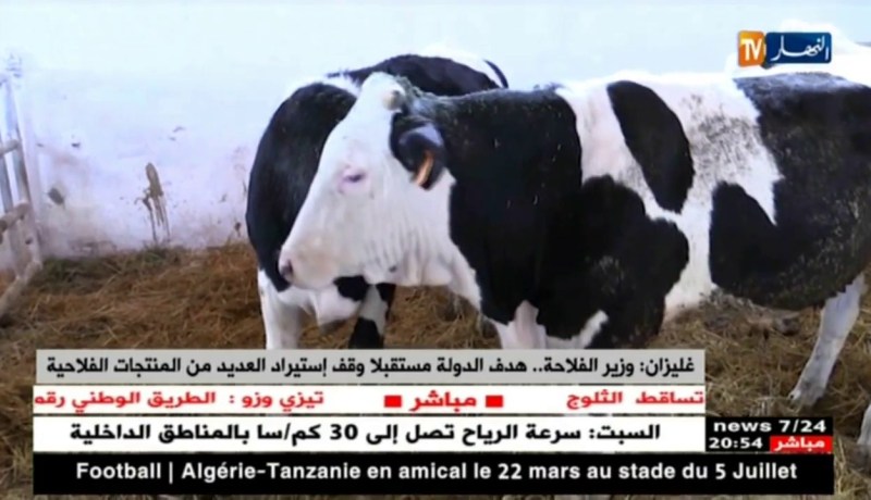 غليزان: وزير الفلاحة.. هدف الدولة مستقبلاً وقف إستيراد العديد من المنتجات الفلاحية