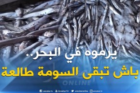 الأسماك الطازجة لمن إستطاع إليه سبيلا في الأسواق الوطنية..!!