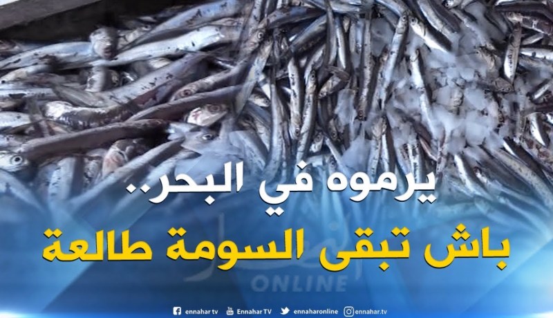 الأسماك الطازجة لمن إستطاع إليه سبيلا في الأسواق الوطنية..!!