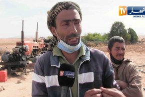 الجلفة: إنعدام الدعم والوسائل يرهن فلاحي منطقة الطويلة بحد الصحاري