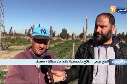 جزائريون: رغم الصعوبات.. شباب يفضلون العودة إلى الوطن للإستثمار في الفلاحة