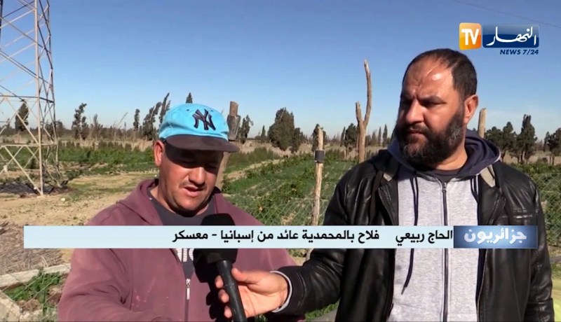 جزائريون: رغم الصعوبات.. شباب يفضلون العودة إلى الوطن للإستثمار في الفلاحة