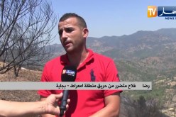 بجاية: فلاحو منطقة أمعراط ببرباشة يتكبدون خسائر كبيرة جراء الحريق