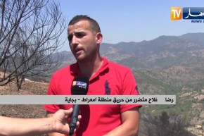 بجاية: فلاحو منطقة أمعراط ببرباشة يتكبدون خسائر كبيرة جراء الحريق