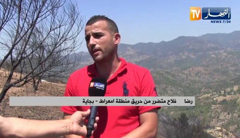 بجاية: فلاحو منطقة أمعراط ببرباشة يتكبدون خسائر كبيرة جراء الحريق