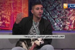تربية الكلاب في الجزائر بين الموضة والإستهجان .. ما السر وراءها ؟