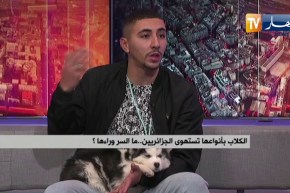 تربية الكلاب في الجزائر بين الموضة والإستهجان .. ما السر وراءها ؟