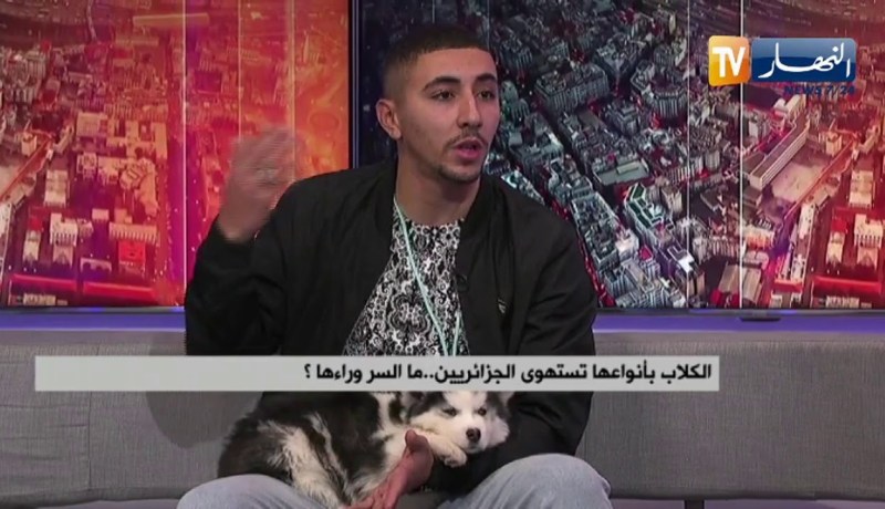 تربية الكلاب في الجزائر بين الموضة والإستهجان .. ما السر وراءها ؟