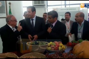 جلاب يزور معرض “الخصر و الفواكه “بصافكس