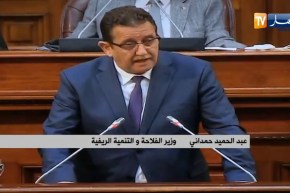 وزير الفلاحة: التحكم في إحصائيات الثروة الحيوانية سيتم عبر إطلاق عملية إحصاء في كل البلديات