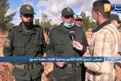 صريح جدا: البيض.. ترسيخ ثقافة التشجير وحماية الغابات مهمة الجميع