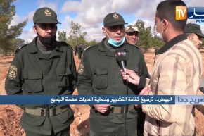 صريح جدا: البيض.. ترسيخ ثقافة التشجير وحماية الغابات مهمة الجميع