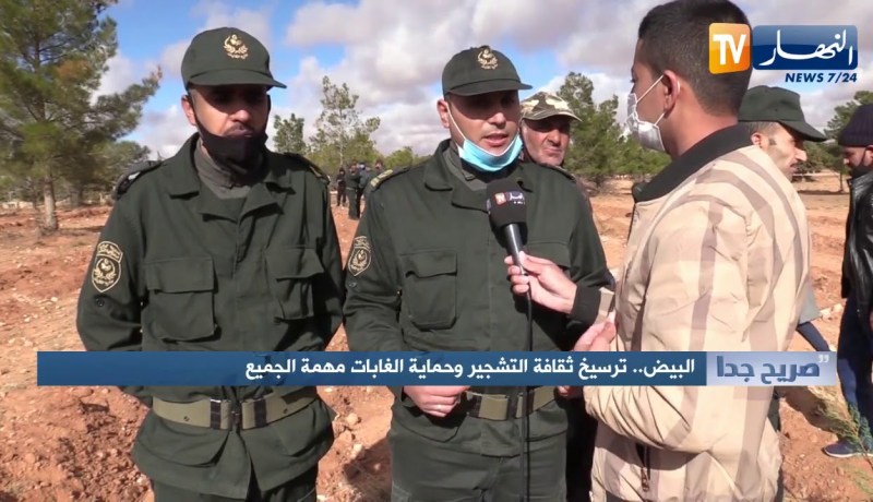 صريح جدا: البيض.. ترسيخ ثقافة التشجير وحماية الغابات مهمة الجميع