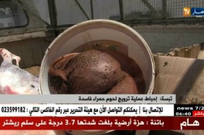 تبسة: إحباط عملية ترويج لحوم حمراء فاسدة