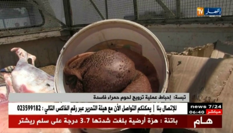 تبسة: إحباط عملية ترويج لحوم حمراء فاسدة