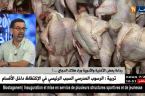 مومن كالي: رداءة بعض الأغذية وراء هلاك “الدجاج” بالجزائر ..!