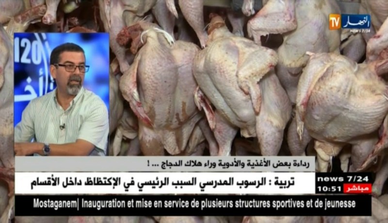 مومن كالي: رداءة بعض الأغذية وراء هلاك “الدجاج” بالجزائر ..!