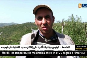 سكيكدة: فلاحون يشتكون نقص الدعم وتقلص المساحات المخصصة لزراعة الفراولة